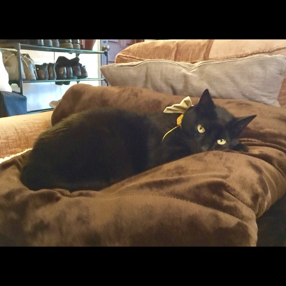 Meet your Posher, Anaïs - Picture 2 of 8